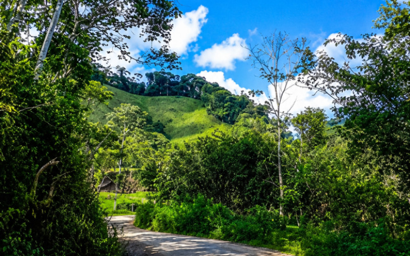 52 Acres (21 Hectares) San Carlos, Antioquia. Near Lakes & 2026 Paved Road.
