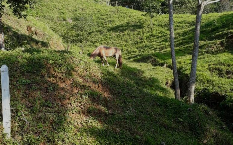 Finca Recreativa en San Carlos en Vereda Patio Bonito