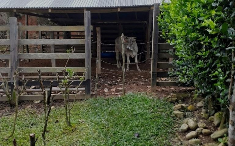 Finca Recreativa en San Carlos en Vereda Patio Bonito