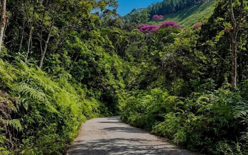 Finca Recreativa en San Carlos en Vereda Patio Bonito