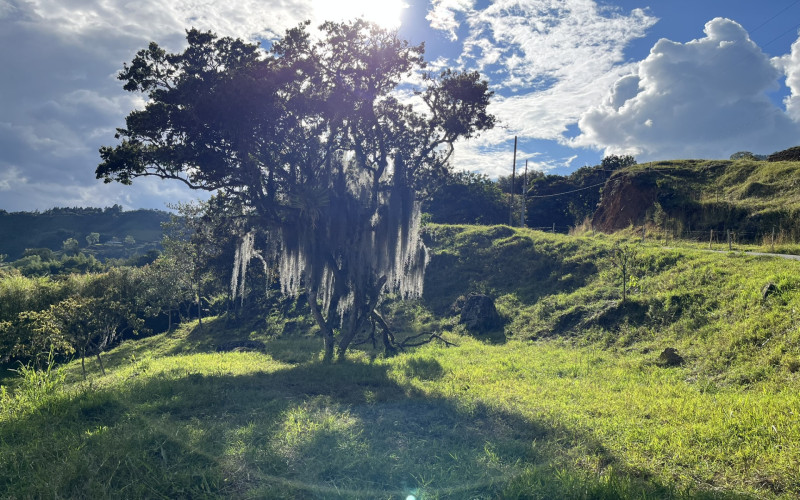 Luxury Mountain Lot for Sale in Copacabana Medellin | Gated Community No HOA Fees