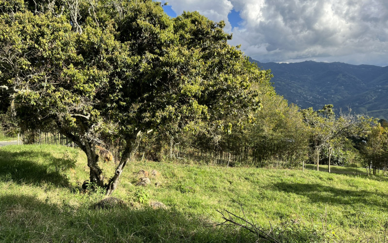 Luxury Mountain Lot for Sale in Copacabana Medellin | Gated Community No HOA Fees