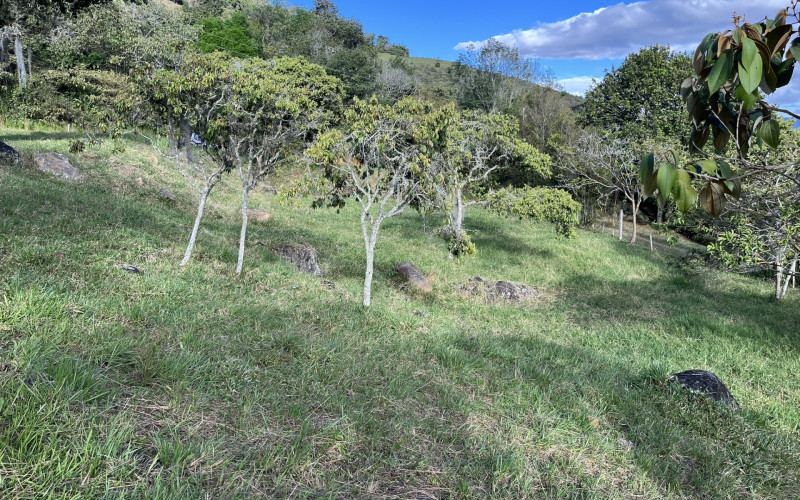 Luxury Mountain Lot for Sale in Copacabana Medellin | Gated Community No HOA Fees