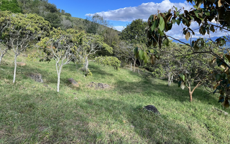 Luxury Mountain Lot for Sale in Copacabana Medellin | Gated Community No HOA Fees