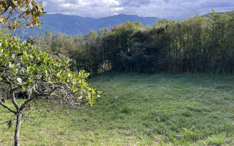 Luxury Mountain Lot for Sale in Copacabana Medellin | Gated Community No HOA Fees