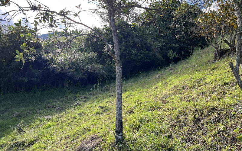 Luxury Mountain Lot for Sale in Copacabana Medellin | Gated Community No HOA Fees