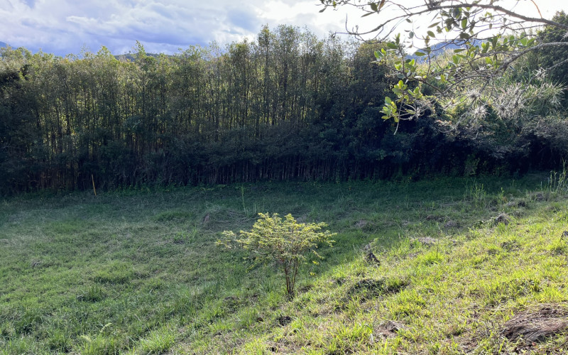 Luxury Mountain Lot for Sale in Copacabana Medellin | Gated Community No HOA Fees