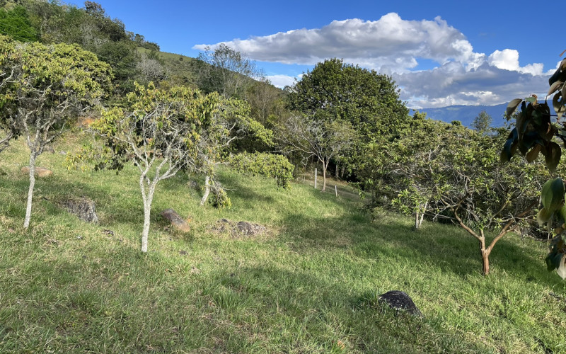Luxury Mountain Lot for Sale in Copacabana Medellin | Gated Community No HOA Fees
