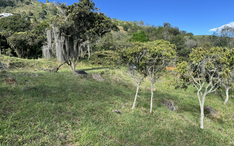 Luxury Mountain Lot for Sale in Copacabana Medellin | Gated Community No HOA Fees