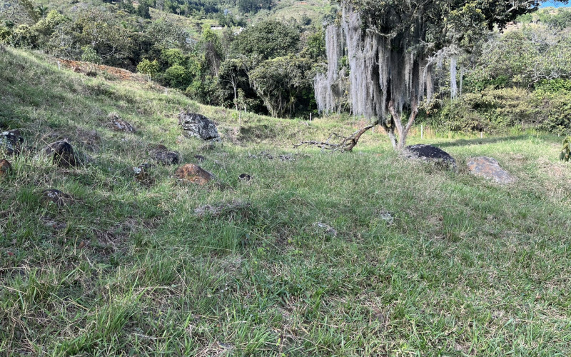 Luxury Mountain Lot for Sale in Copacabana Medellin | Gated Community No HOA Fees