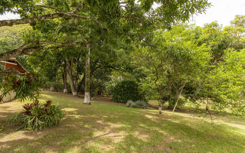 Country Estate for Sale in San Jeronimo Medellin | 3.1 Acre Flat Lot, Vacation Rental