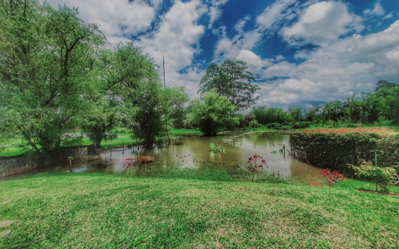 Casa en Rionegro en Llanogrande