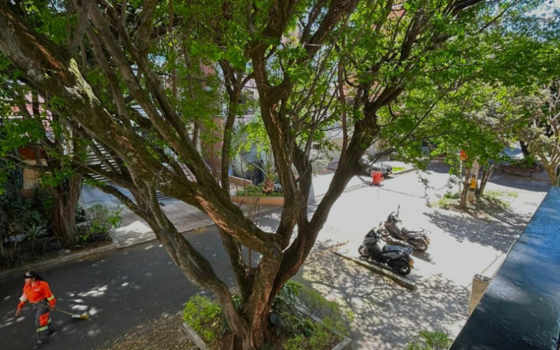 Apartamento en Medellín en La Castellana