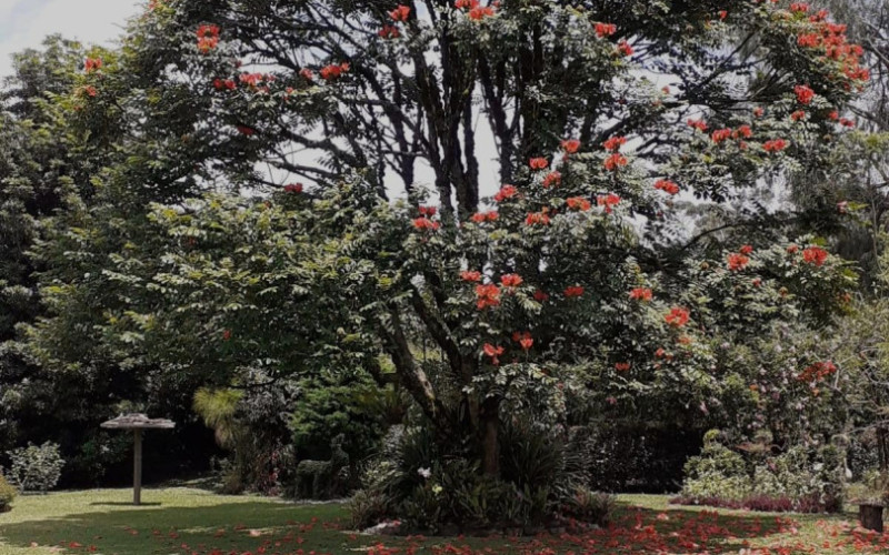 Casa en Rionegro en Aeropuerto