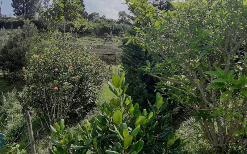 Finca Recreativa en Guarne en V. Chaparral