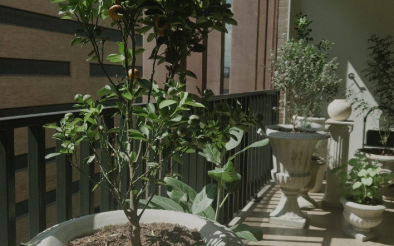 Apartamento en Medellín en Ciudad del Rio