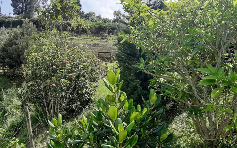 Premium Country Estate in Guarne Colombia | 2 Houses, Rental Income & 1.7-Acre Lot