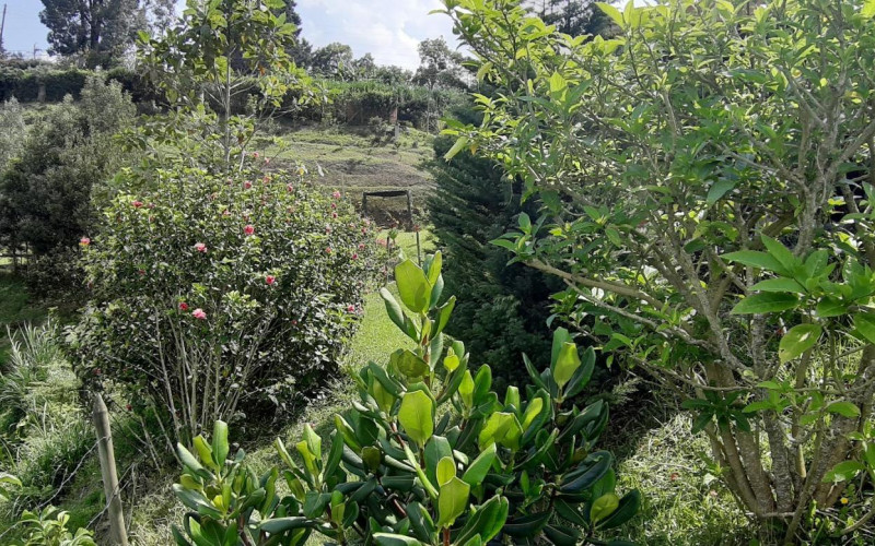 Premium Country Estate in Guarne Colombia | 2 Houses, Rental Income & 1.7-Acre Lot