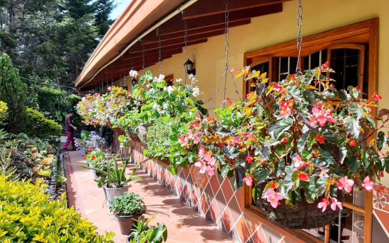 Premium Country Estate in Guarne Colombia | 2 Houses, Rental Income & 1.7-Acre Lot