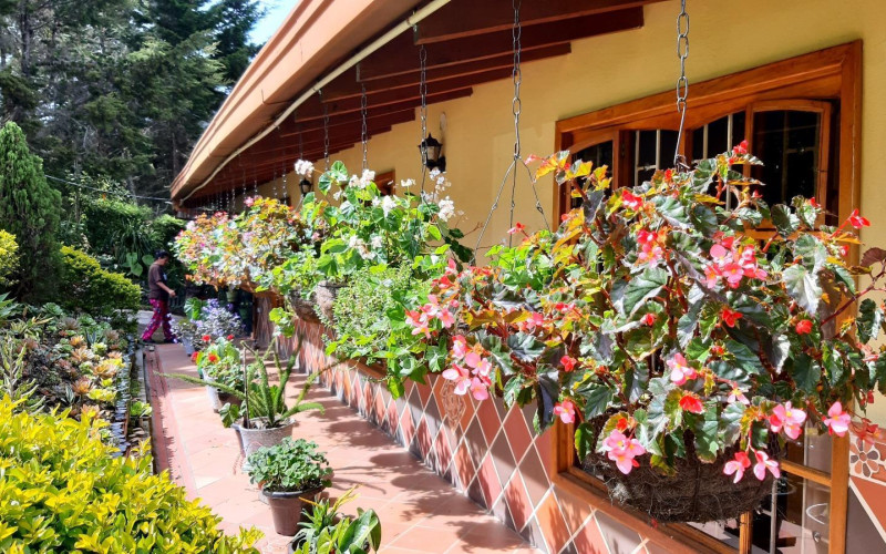Premium Country Estate in Guarne Colombia | 2 Houses, Rental Income & 1.7-Acre Lot