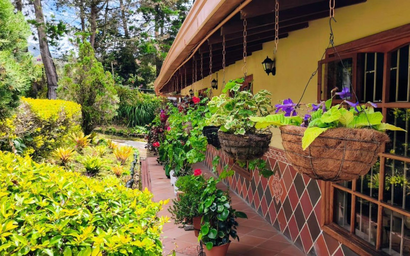 Premium Country Estate in Guarne Colombia | 2 Houses, Rental Income & 1.7-Acre Lot