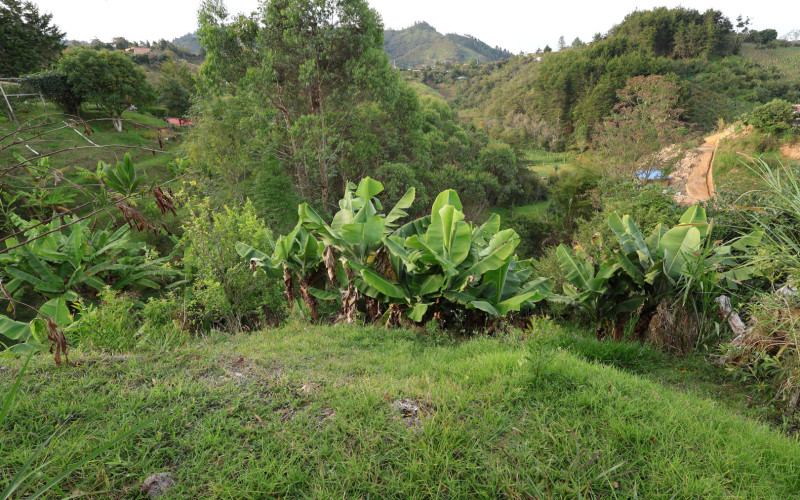 Premium Country Estate in Guarne Colombia | 2 Houses, Rental Income & 1.7-Acre Lot