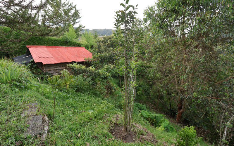 Premium Country Estate in Guarne Colombia | 2 Houses, Rental Income & 1.7-Acre Lot