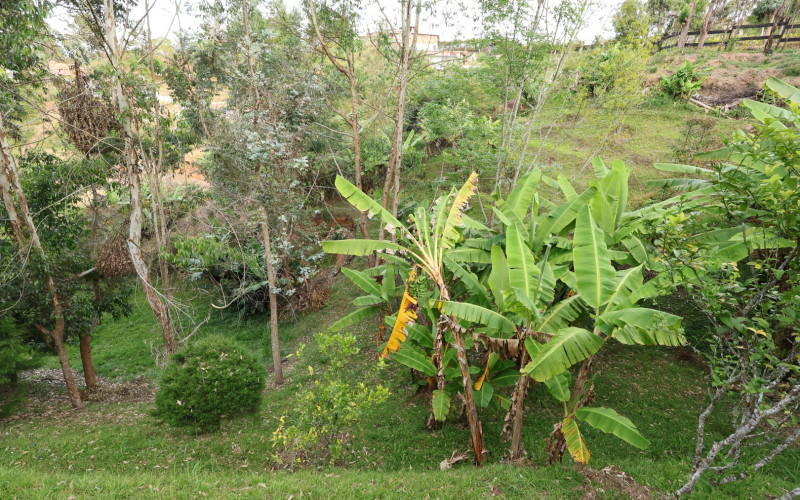 Premium Country Estate in Guarne Colombia | 2 Houses, Rental Income & 1.7-Acre Lot