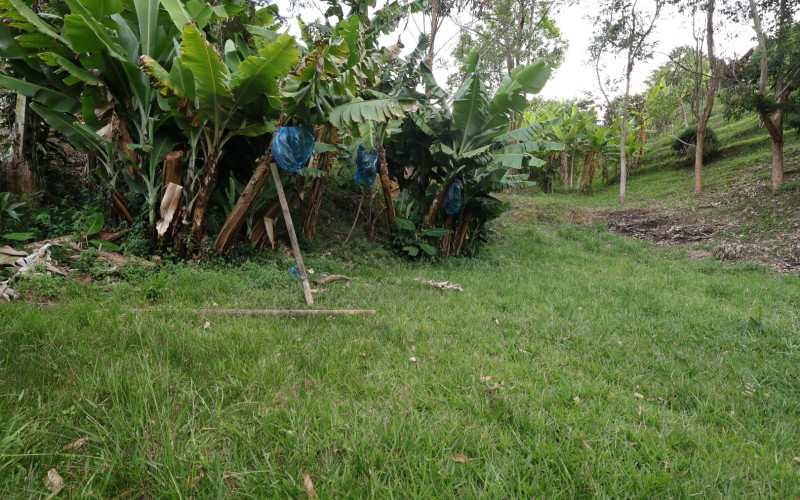 Premium Country Estate in Guarne Colombia | 2 Houses, Rental Income & 1.7-Acre Lot