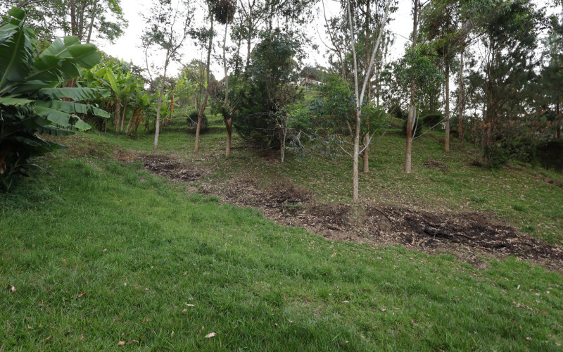 Premium Country Estate in Guarne Colombia | 2 Houses, Rental Income & 1.7-Acre Lot