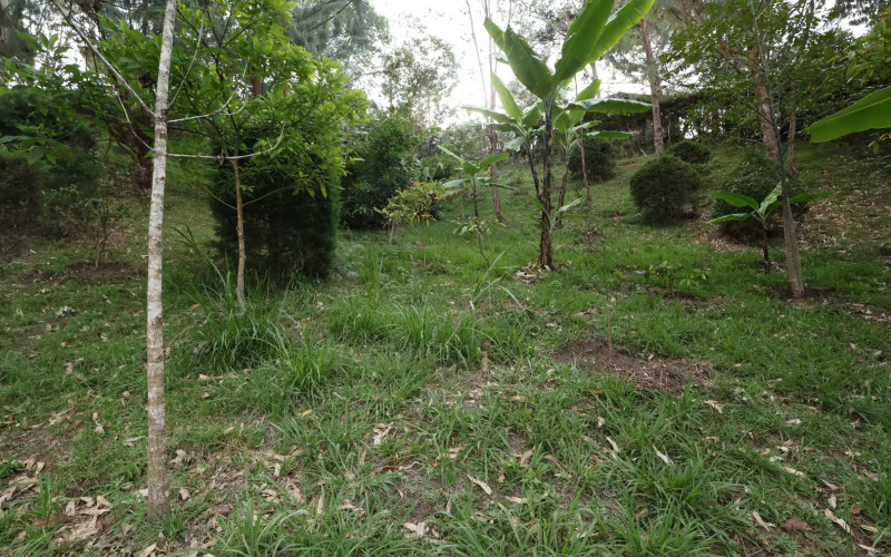Premium Country Estate in Guarne Colombia | 2 Houses, Rental Income & 1.7-Acre Lot
