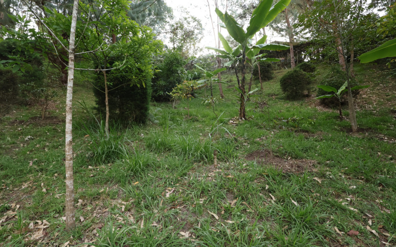 Premium Country Estate in Guarne Colombia | 2 Houses, Rental Income & 1.7-Acre Lot