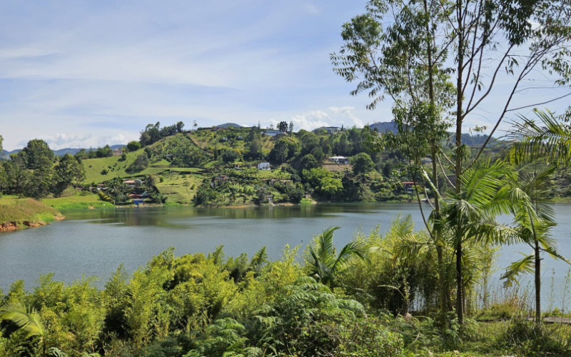 Waterfront Land for Sale in Guatapé - El Peñol | 5,057 sqm Lakefront Lot