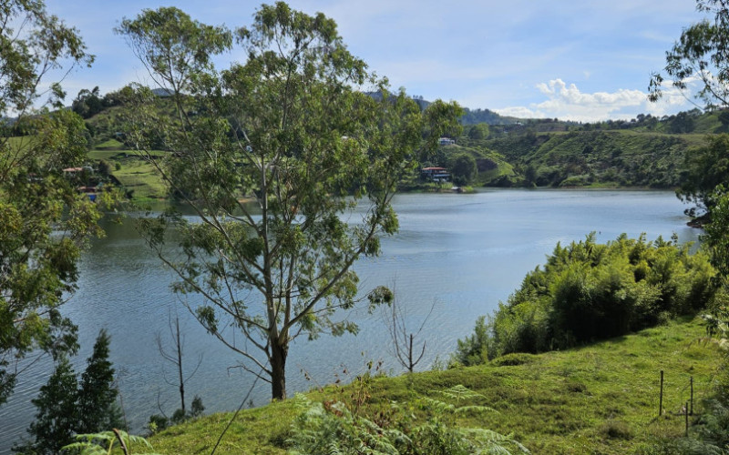Waterfront Land for Sale in Guatapé - El Peñol | 5,057 sqm Lakefront Lot