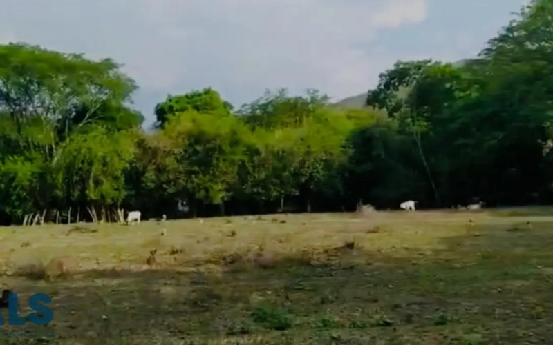 Lote Comercial en Sopetrán en V. Tafetanes