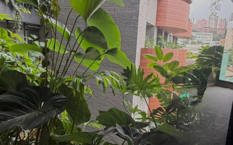 Hotel/Apart Hotel en Medellín en Manila