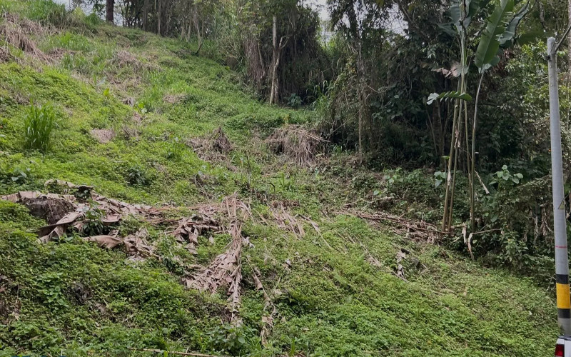 Lote Residencial en Medellín en Los Balsos Nº 1