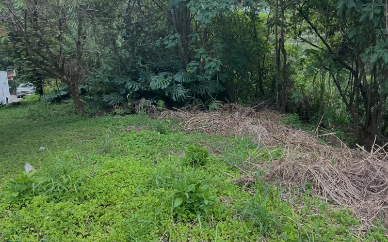 Lote Residencial en Medellín en Los Balsos Nº 1