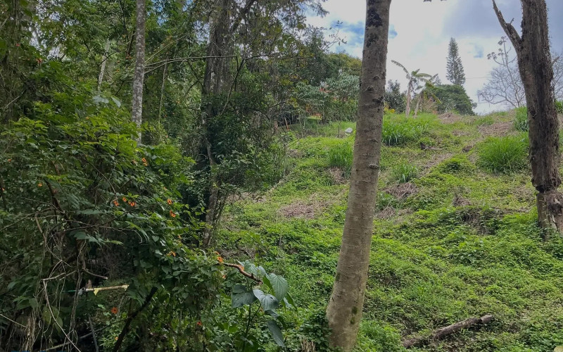 Lote Residencial en Medellín en Los Balsos Nº 1