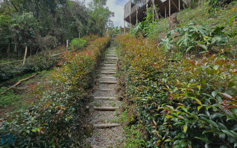 Finca Recreativa en San Vicente en Rural