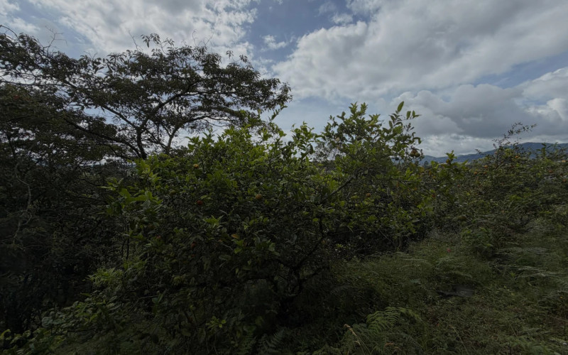 Finca Recreativa en Santuario en Autopista Medellín - Bogotá