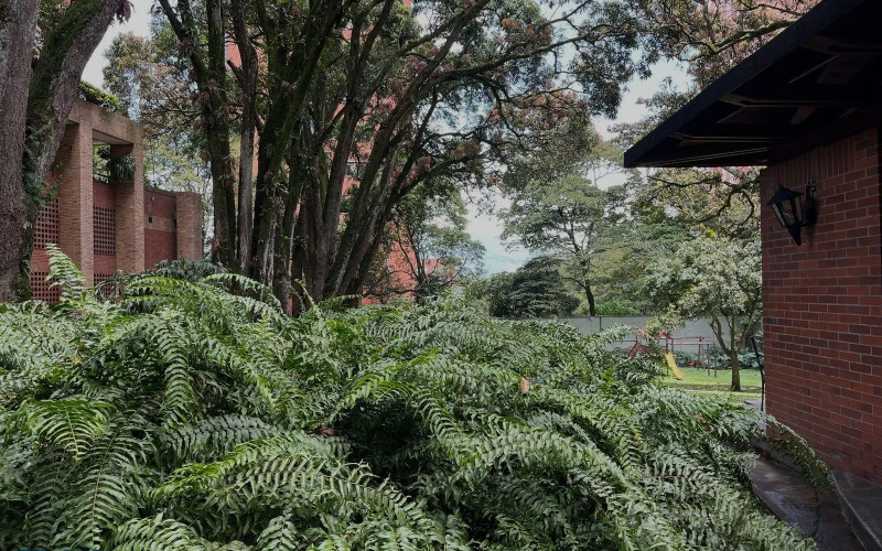 Apartamento en Medellín en La Tomatera