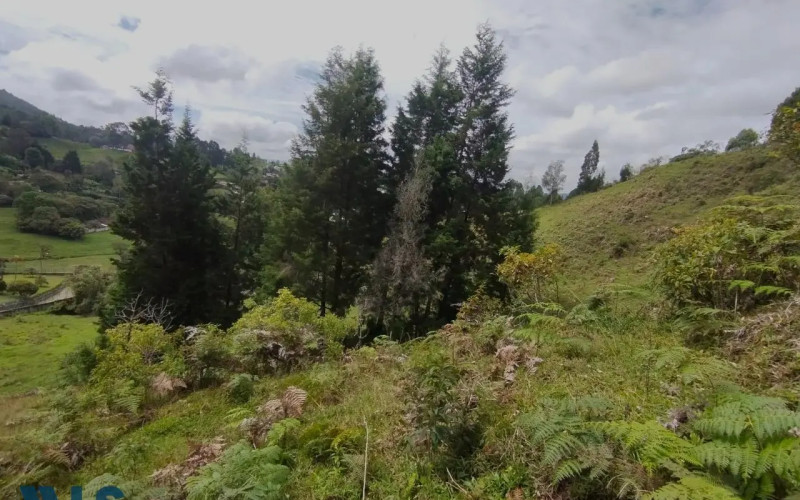Lote Residencial en Guarne en Vereda La Clara