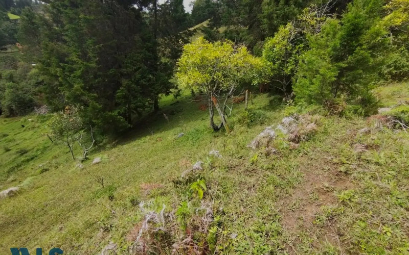 Lote Residencial en Guarne en Vereda La Clara