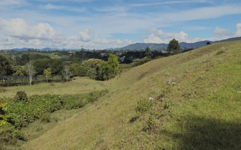 Lote Residencial en Rionegro en Corredor San Antonio - La Ceja (Rionegro)