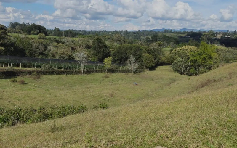 Lote Residencial en Rionegro en Corredor San Antonio - La Ceja (Rionegro)