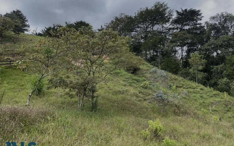 Lote Residencial en Rionegro en vereda Higueron