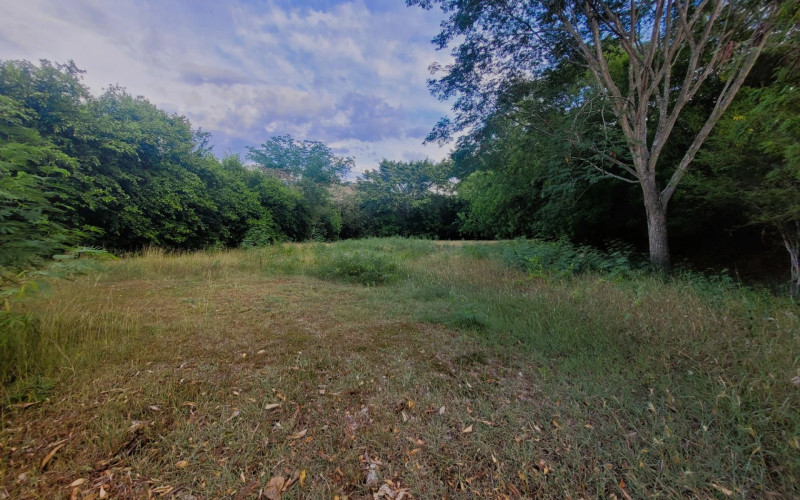 Lote Residencial en Santa Fe de Antioquia en V. La Guanábana