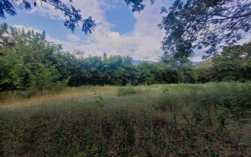 Lote Residencial en Santa Fe de Antioquia en V. La Guanábana