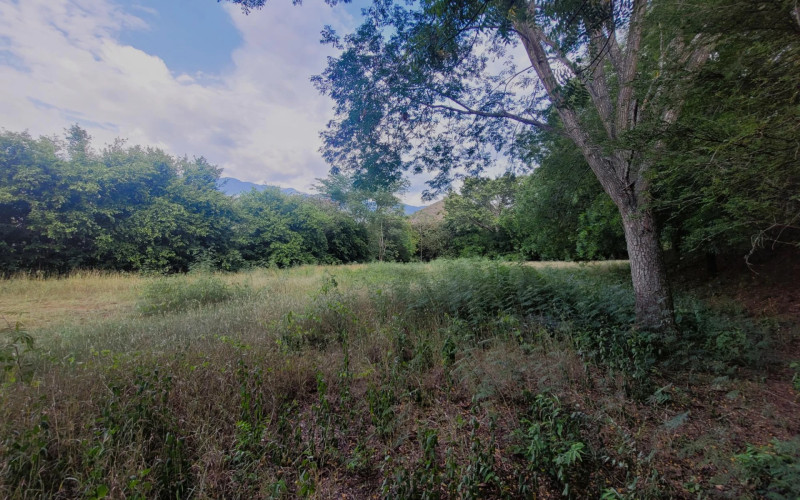 Lote Residencial en Santa Fe de Antioquia en V. La Guanábana
